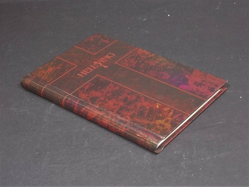 Hellsing ultimate journal - hellsing,